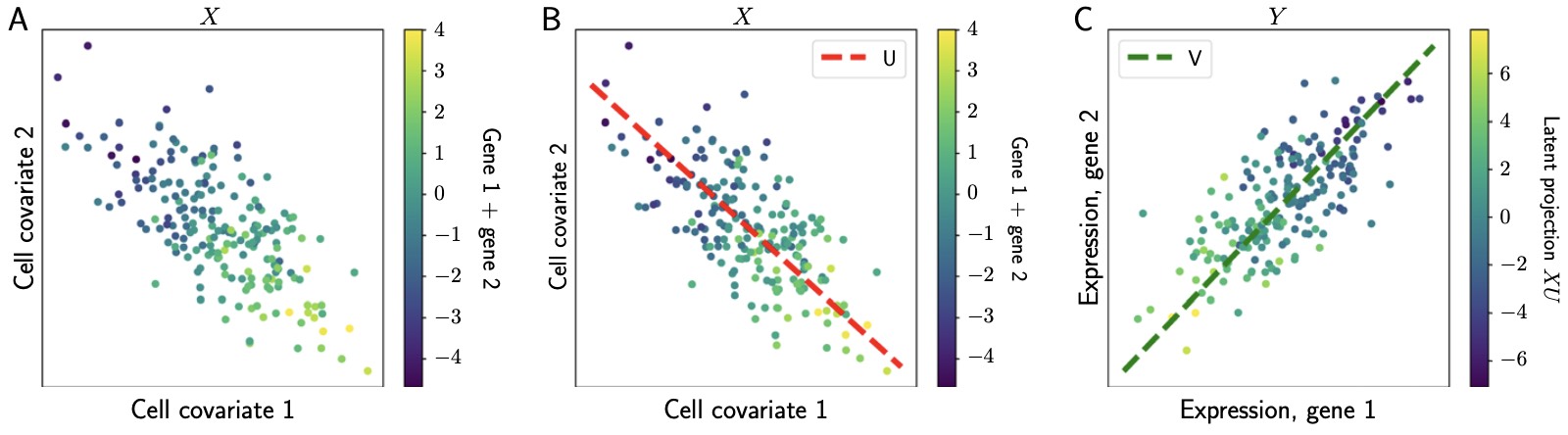 prrr-2D-representation