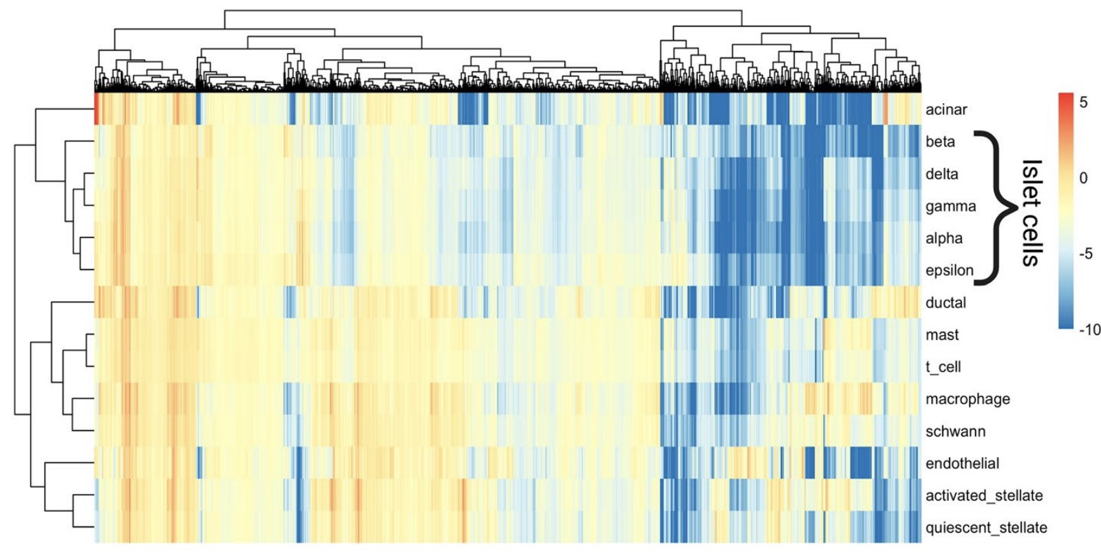 prrr-pancreas-heatmap