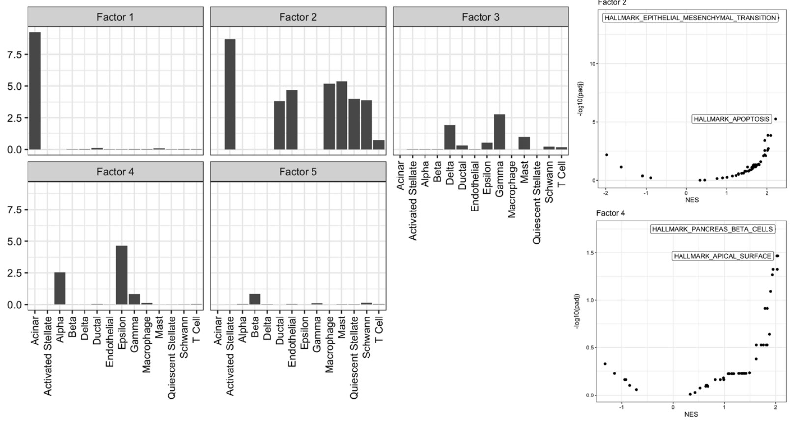 prrr-pancreas-celltypes